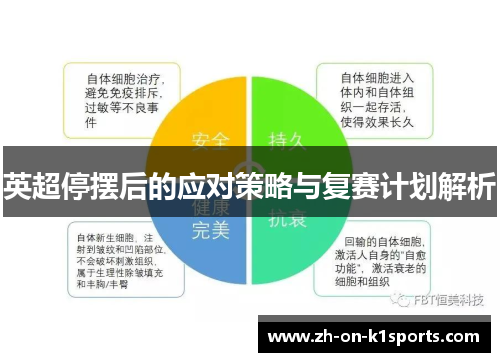 英超停摆后的应对策略与复赛计划解析 英超停摆后的应对策略与复赛计划解析
