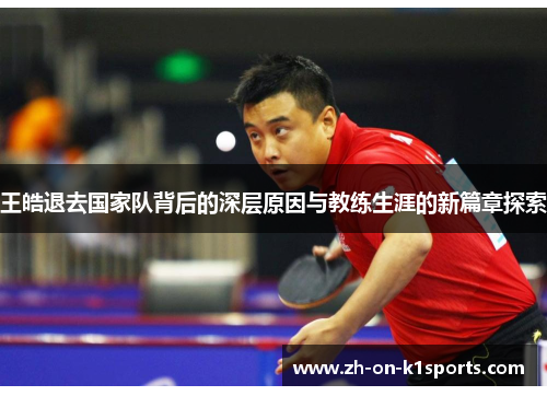 王皓退去国家队背后的深层原因与教练生涯的新篇章探索